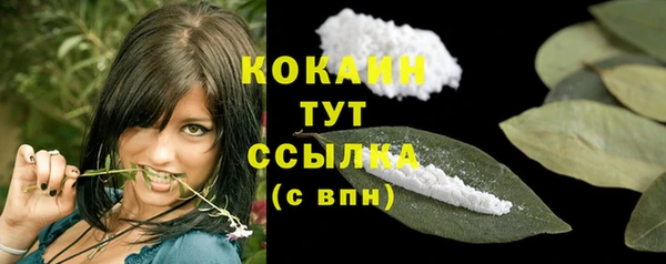 spice Кулебаки