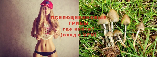 mdpv Ладушкин