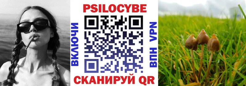 Псилоцибиновые грибы MAGIC MUSHROOMS  mega ссылка  Талдом  цены  